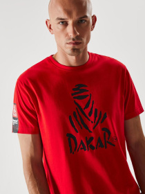 Футболка DIVERSE модель 10038534 Фото