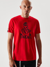 Футболка DIVERSE модель 10038534 Футболка DIVERSE модель 10038534 Фото