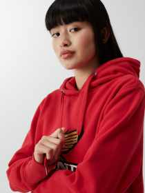 Худі DIVERSE модель 10040378 Фото