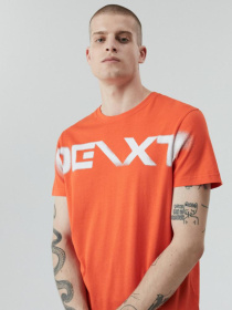 Футболка DIVERSE модель 10040384 Фото