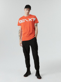 Футболка DIVERSE модель 10040384 Фото