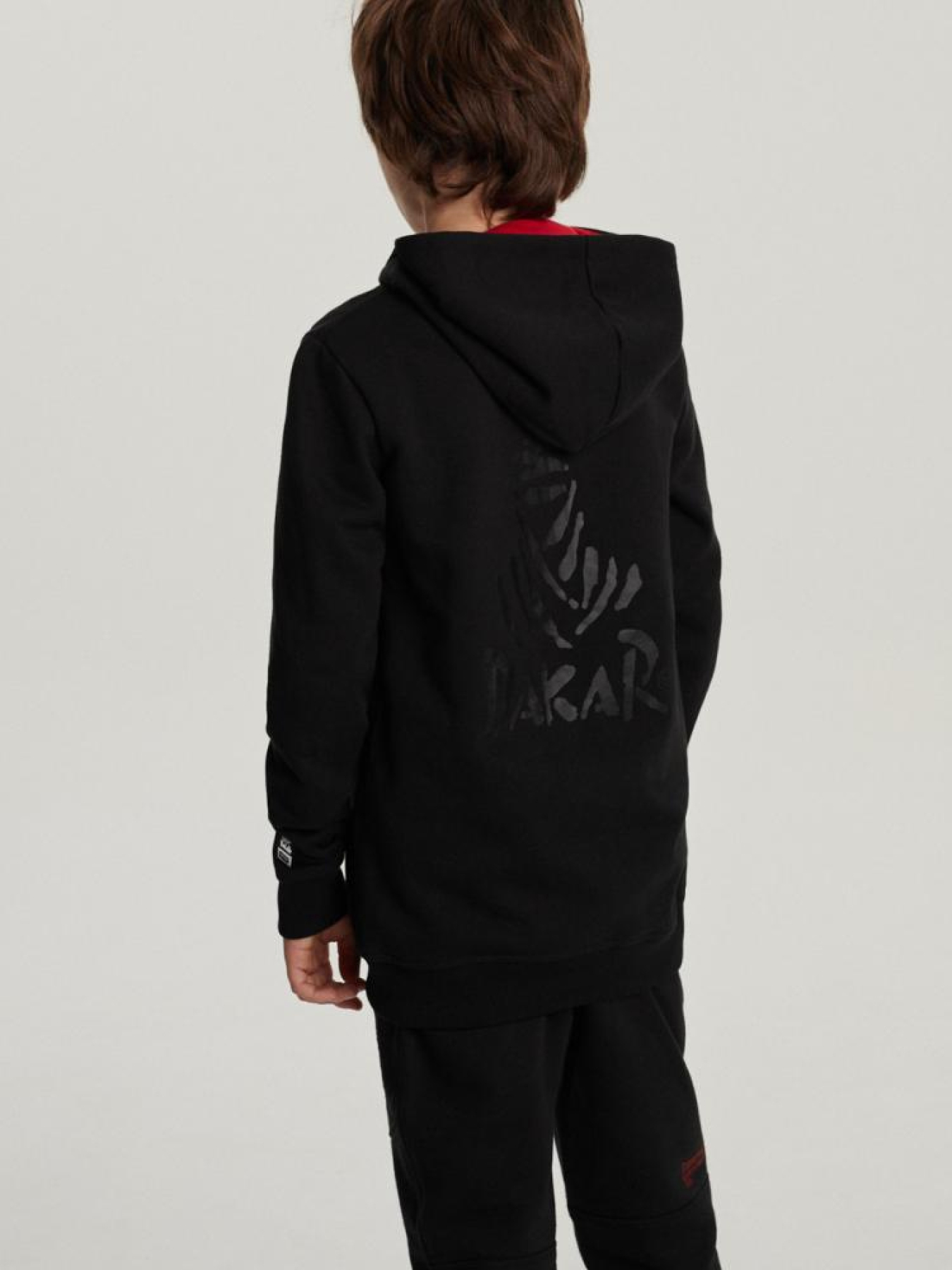 Кофта спортивная DIVERSE модель 10040942 Фото