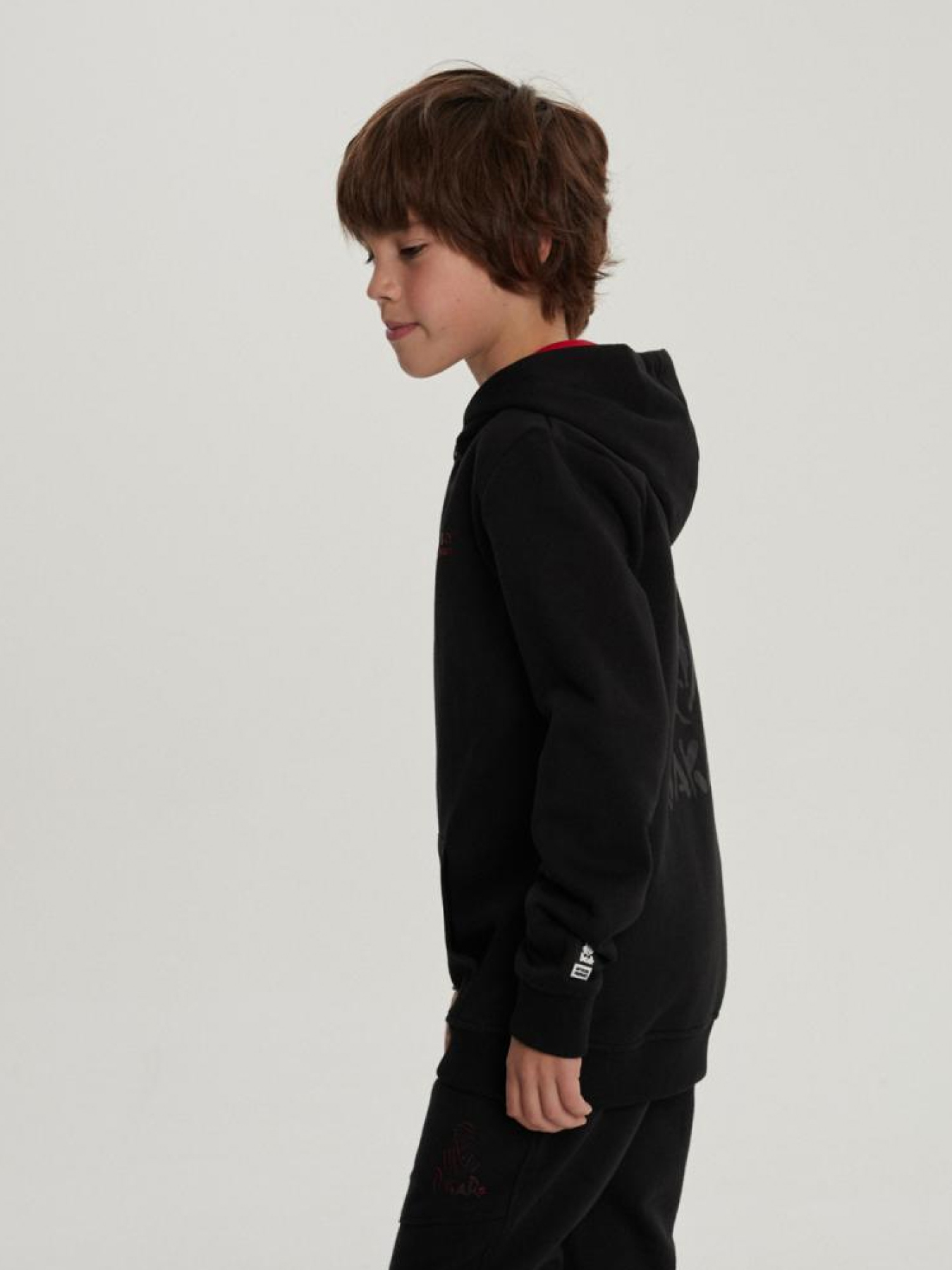 Кофта спортивная DIVERSE модель 10040942 Фото