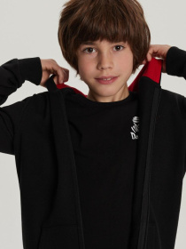 Кофта спортивная DIVERSE модель 10040942 Фото