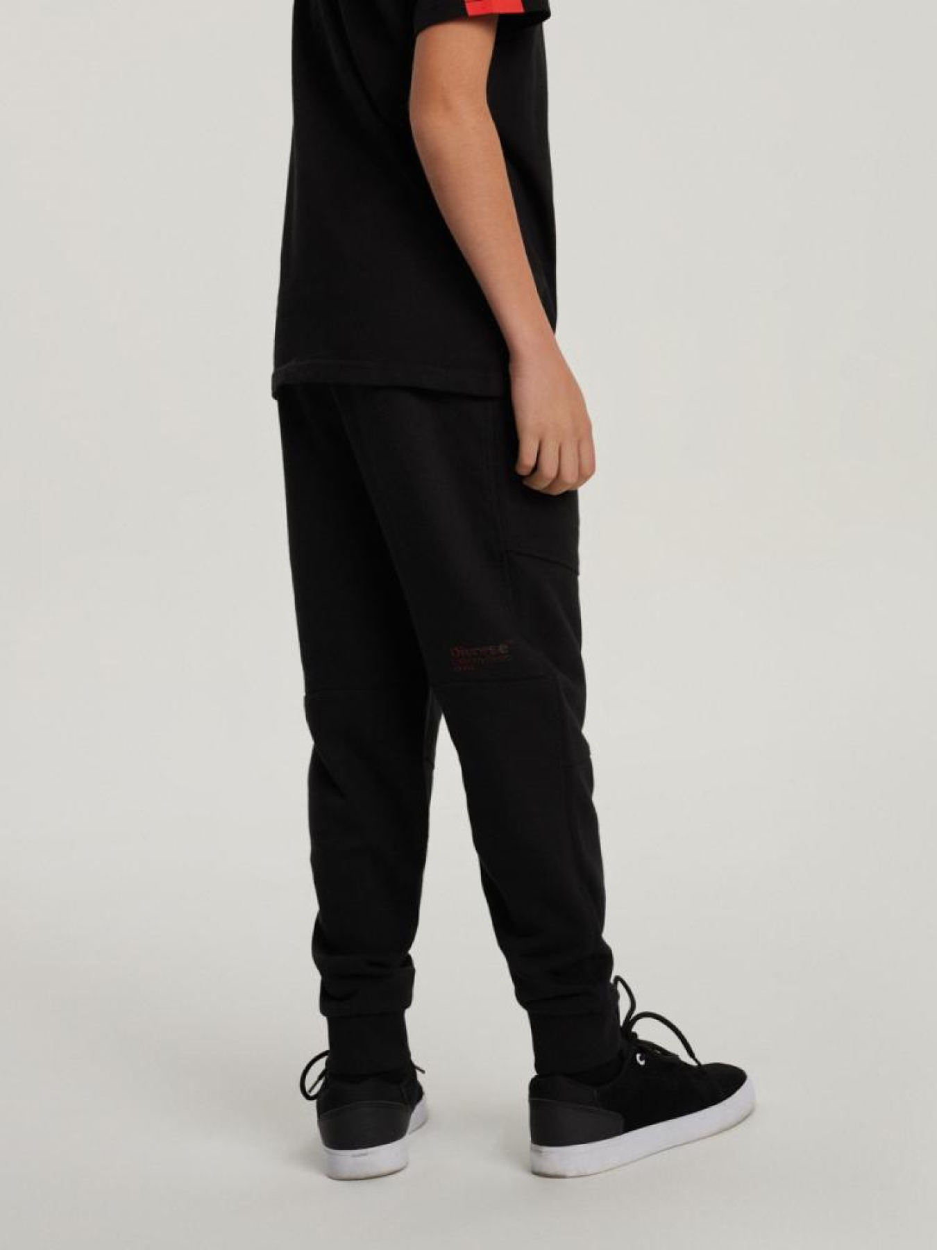 Штаны спортивные DIVERSE модель 10040944 Фото