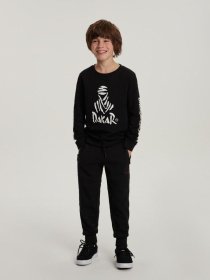 Штаны спортивные DIVERSE модель 10040944 Фото