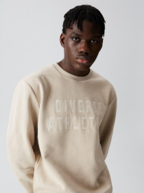 Свитшот DIVERSE модель 10041179 Фото