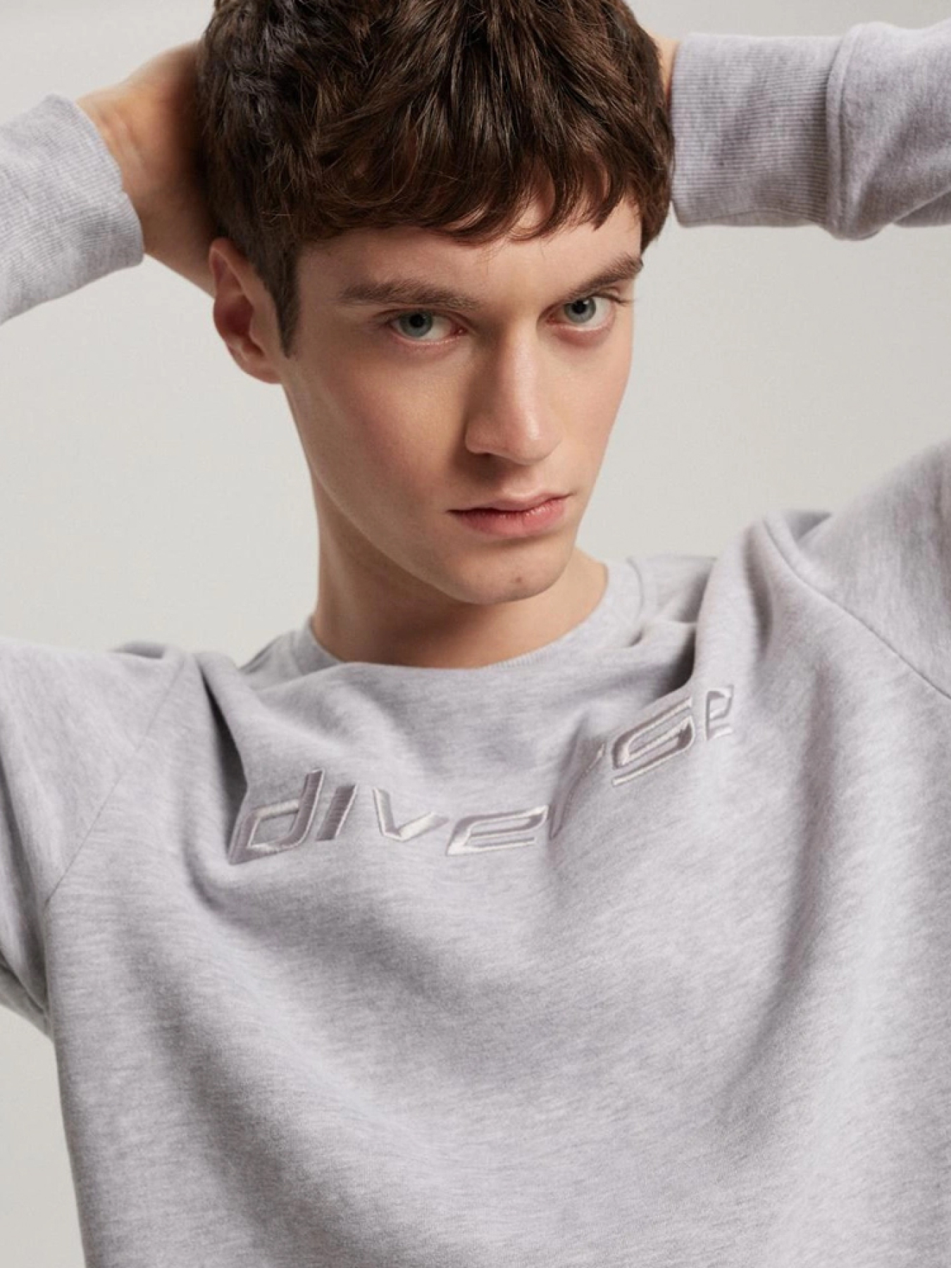 Свитшот DIVERSE модель 10041187 Фото