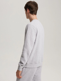 Свитшот DIVERSE модель 10041187 Фото