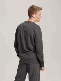 Свитшот DIVERSE модель 10041189 Фото