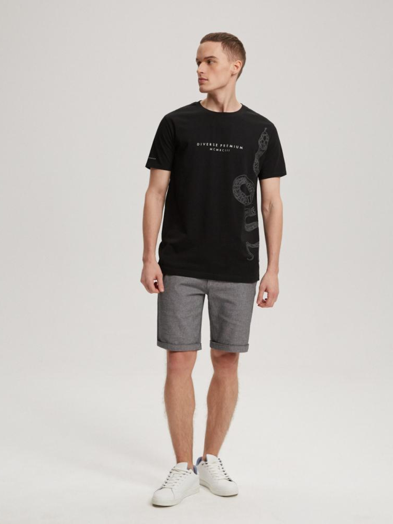 Футболка DIVERSE модель 10041463 Фото