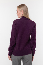 Свитер Sewel модель SW753060000 Фото