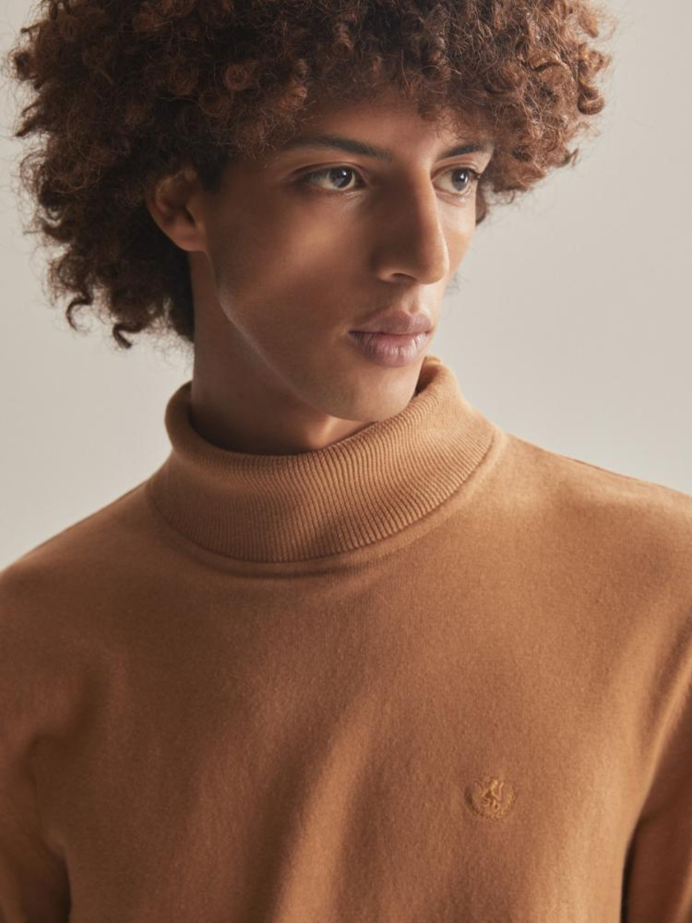 Водолазка DIVERSE модель 10042818 Фото