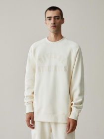 Свитшот DIVERSE модель 10042834 Фото