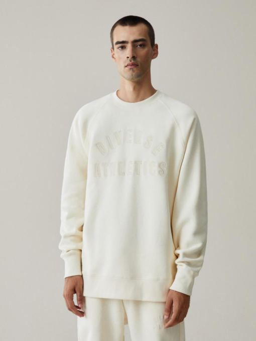 Свитшот DIVERSE модель 10042834 Фото