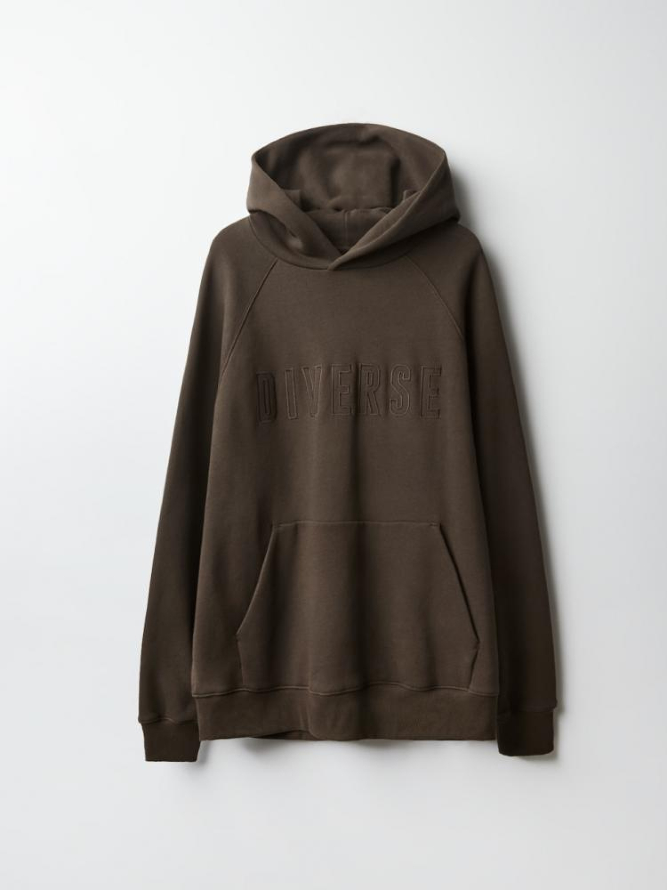 Худі DIVERSE модель 10042835 Фото