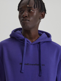 Худі DIVERSE модель 10042841 Фото