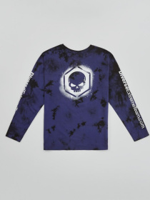 Лонгслив DIVERSE модель 10042852 Фото