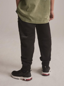 Штани спортивні DIVERSE модель 10043471 Фото