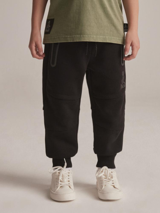 Штаны спортивные DIVERSE модель 10043471 Фото