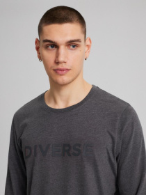 Лонгслив DIVERSE модель 10043602 Фото