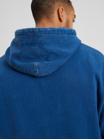 Худи DIVERSE модель 10043607 Фото