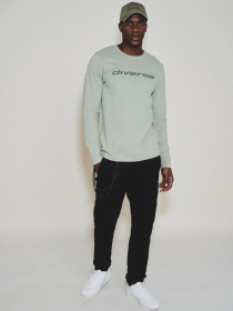 Лонгслив DIVERSE модель 10044905 Фото