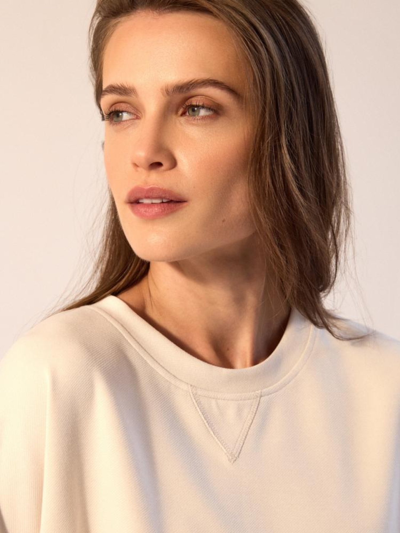 Свитшот DIVERSE модель 10045022 Фото