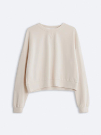 Свитшот DIVERSE модель 10045022 Фото