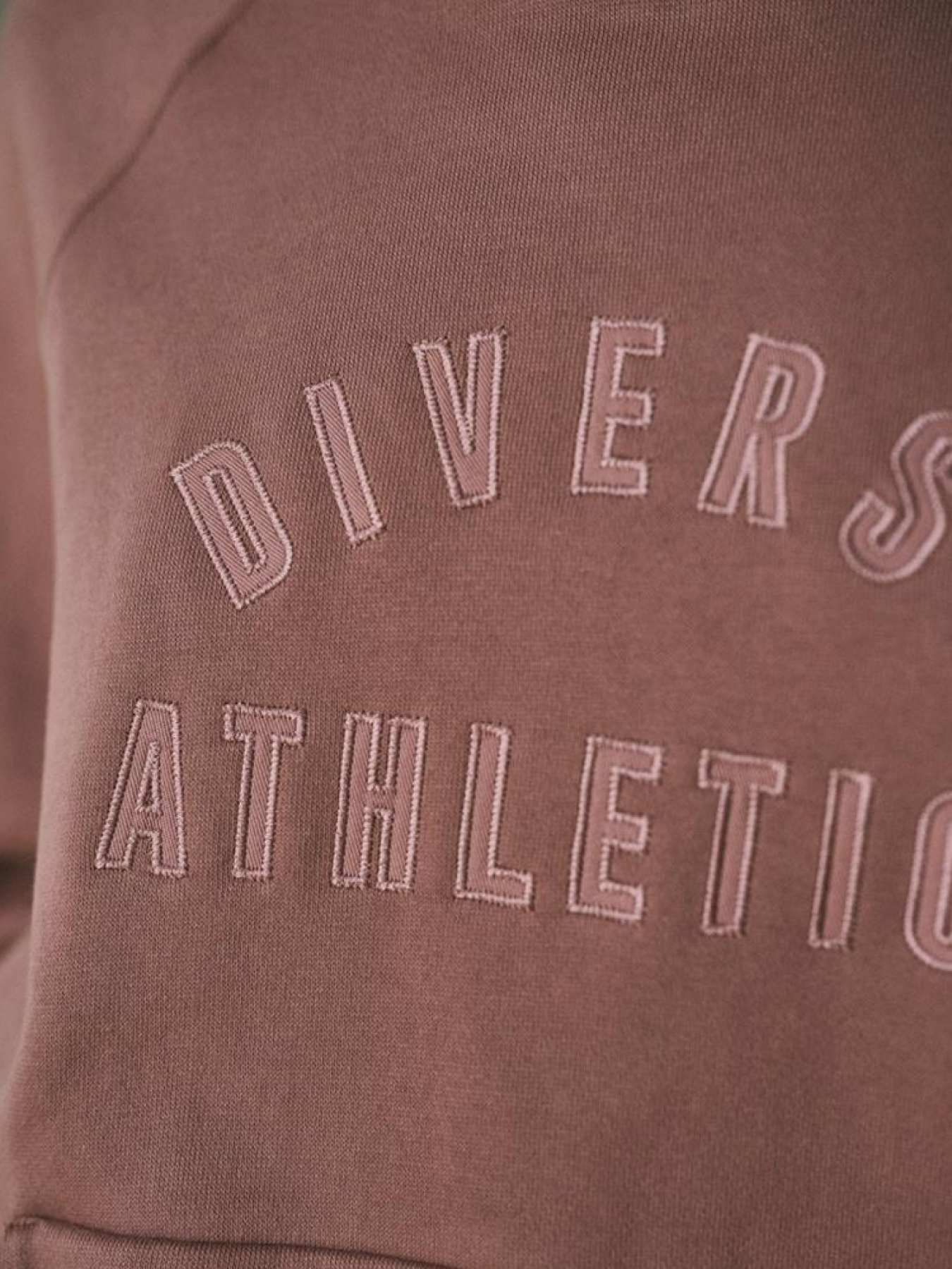 Худи DIVERSE модель 10045310 Фото