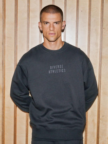 Світшот DIVERSE модель 10045351 Фото