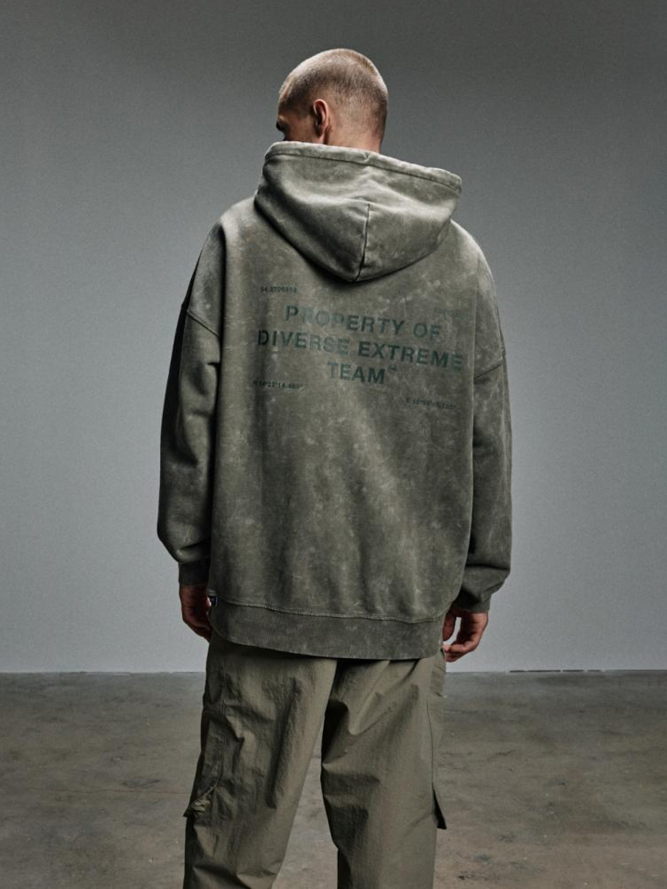 Худи и свитшоты DIVERSE модель 10045355 Фото