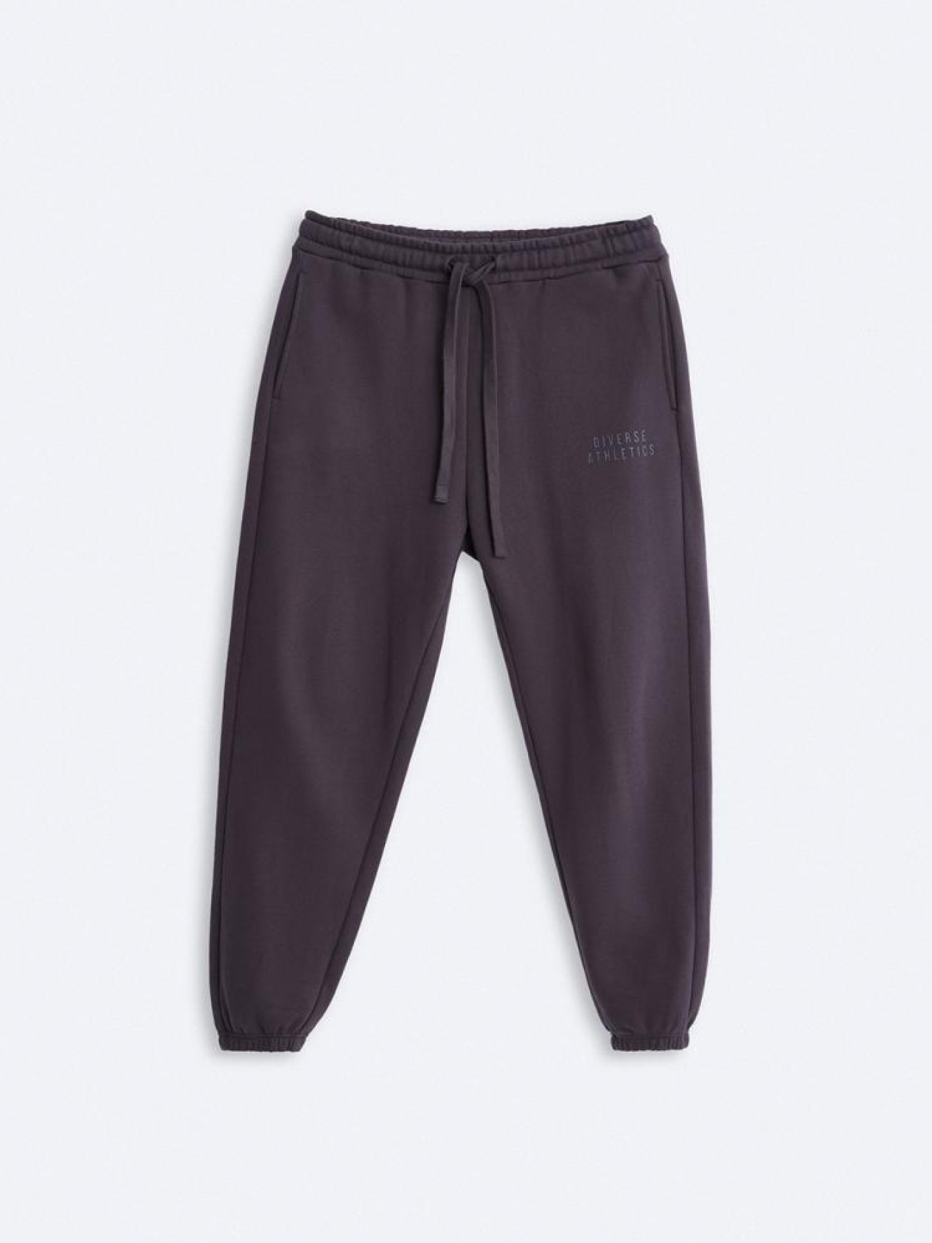 Штани спортивні DIVERSE модель 10045366 Фото