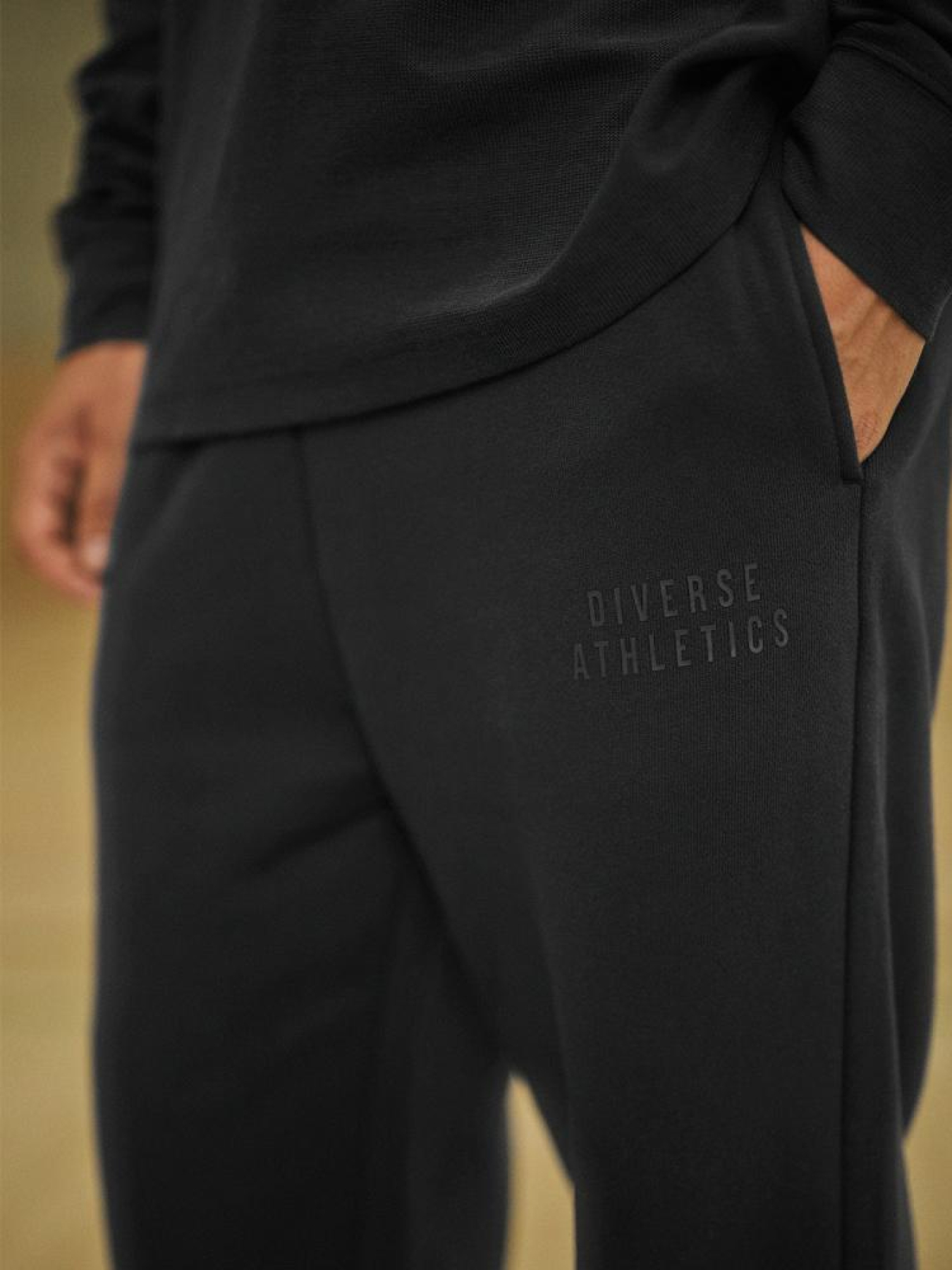 Спортивні штани DIVERSE модель 10045366 Фото