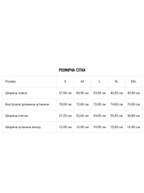 Спортивні штани DIVERSE модель 10045366 Фото