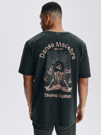 Футболка DIVERSE модель 10046173 Фото