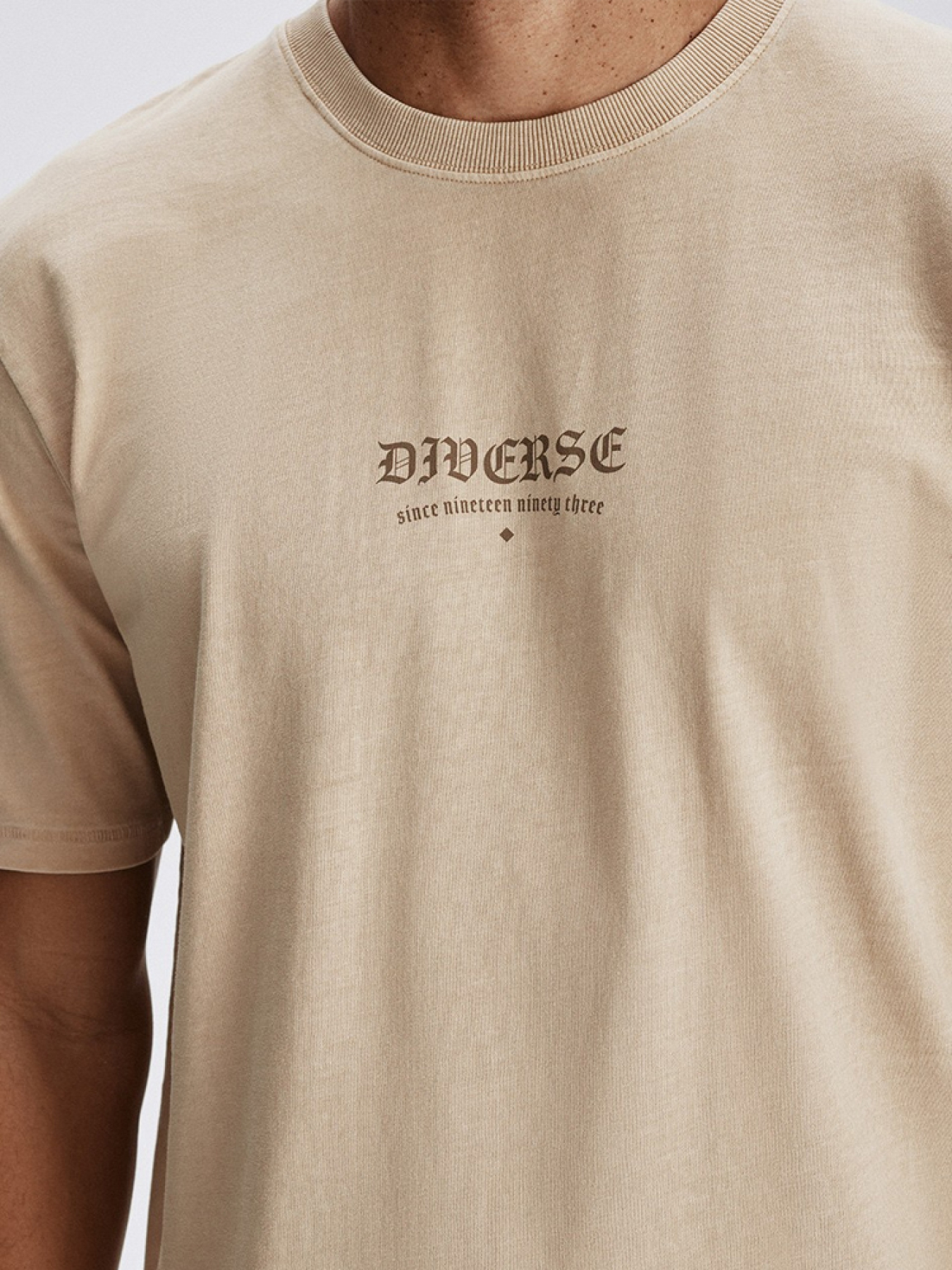 Футболка DIVERSE модель 10046174 Фото