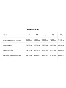 Свитшот DIVERSE модель 10045359 Фото