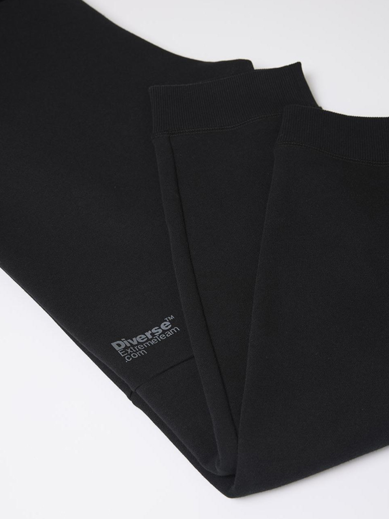 Штани спортивні DIVERSE модель 10045656 Фото