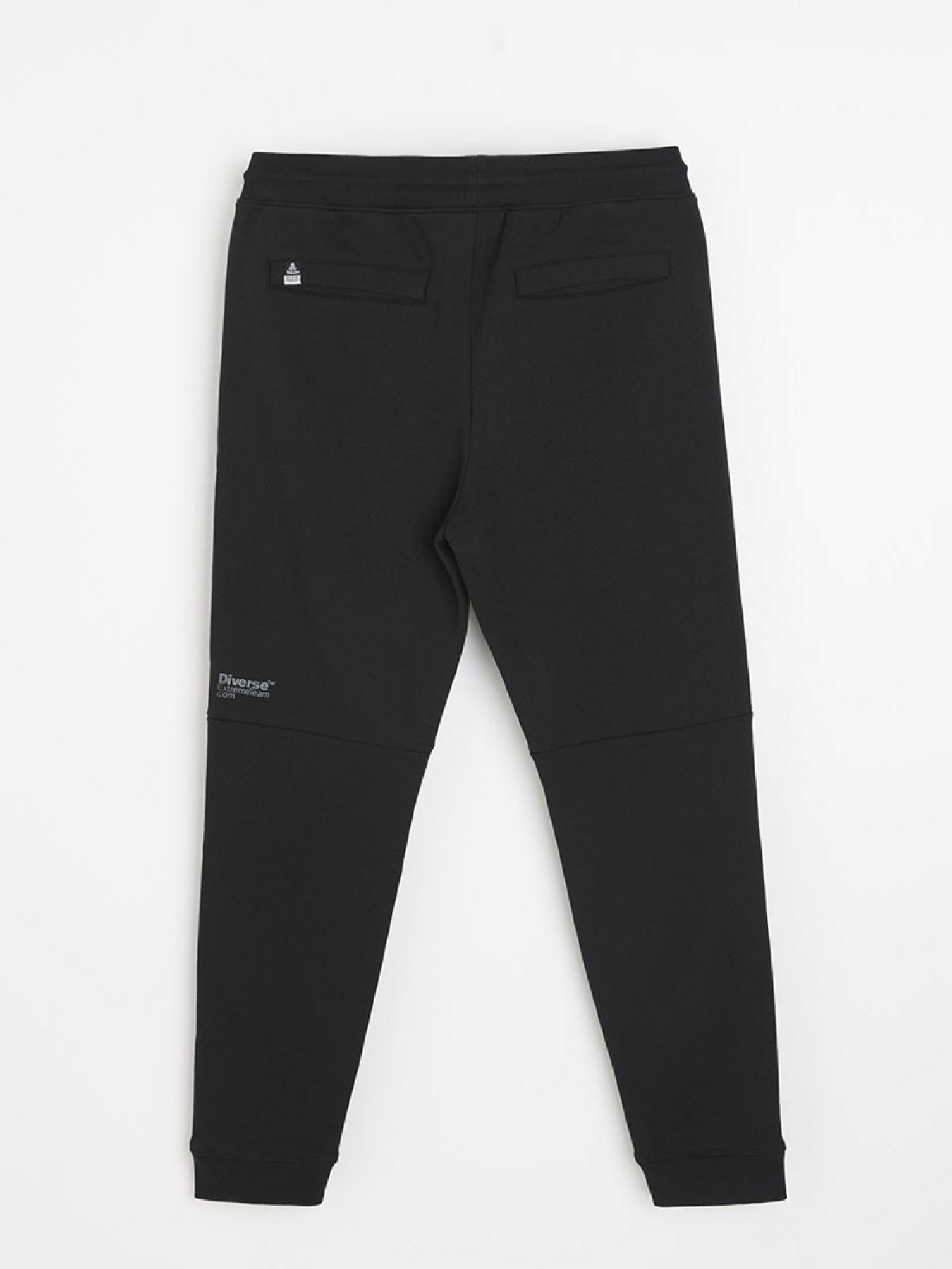 Штани спортивні DIVERSE модель 10045656 Фото