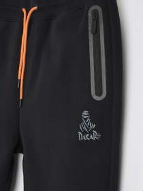 Штани спортивні DIVERSE модель 10045656 Фото