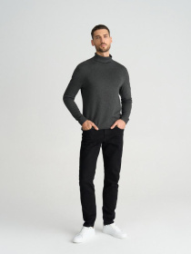 Водолазка DIVERSE модель 10045676 Фото