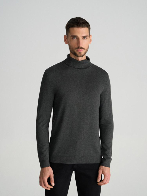 Водолазка DIVERSE модель 10045676 Фото