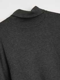 Водолазка DIVERSE модель 10045676 Фото