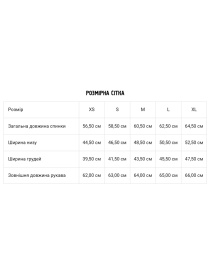 Лонгслив DIVERSE модель 10045838 Фото