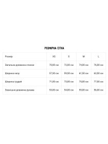 Свитшот DIVERSE модель 10045842 Фото