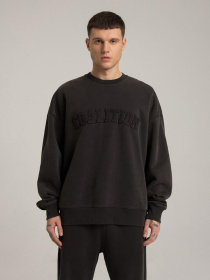 Свитшот DIVERSE модель 10045872 Фото