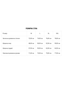 Свитшот DIVERSE модель 10046131 Фото