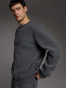 Свитшот DIVERSE модель 10046131 Фото