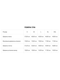 Штани спортивні DIVERSE модель 10046141 Фото